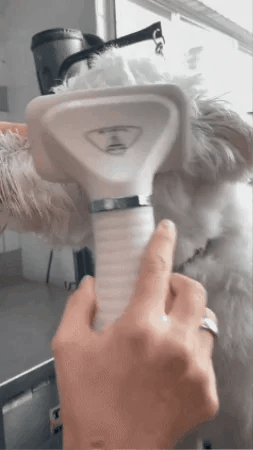 Cepillo Secador  para Mascotas 2-EN-1